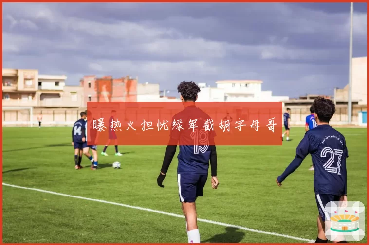 曝热火担忧绿军截胡字母哥
