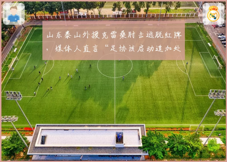山东泰山外援克雷桑肘击逃脱红牌，媒体人直言“足协该启动追加处罚”